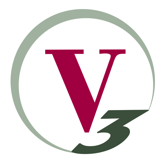 V3 Logo High Res