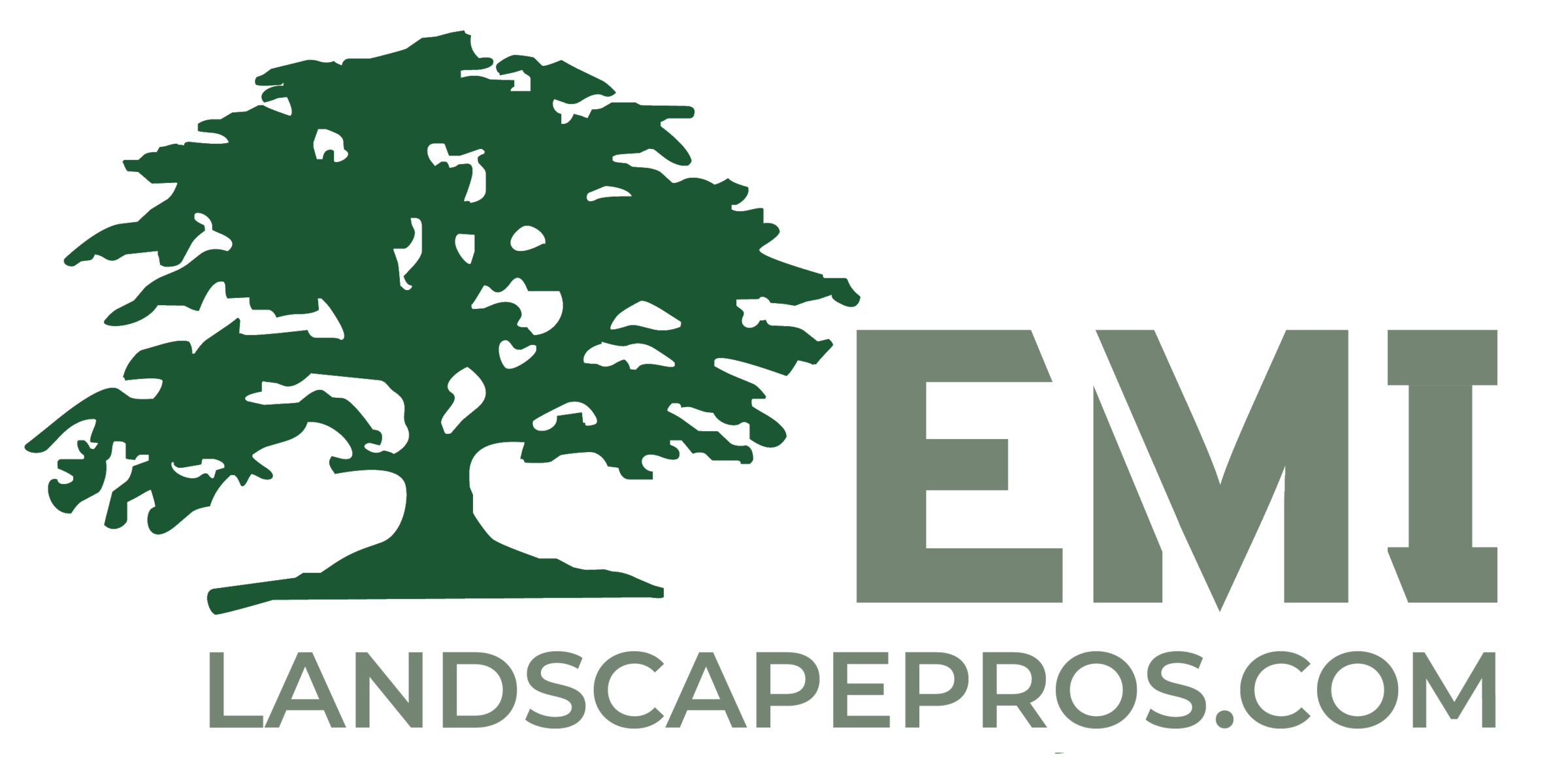 Emi Horizontal Website