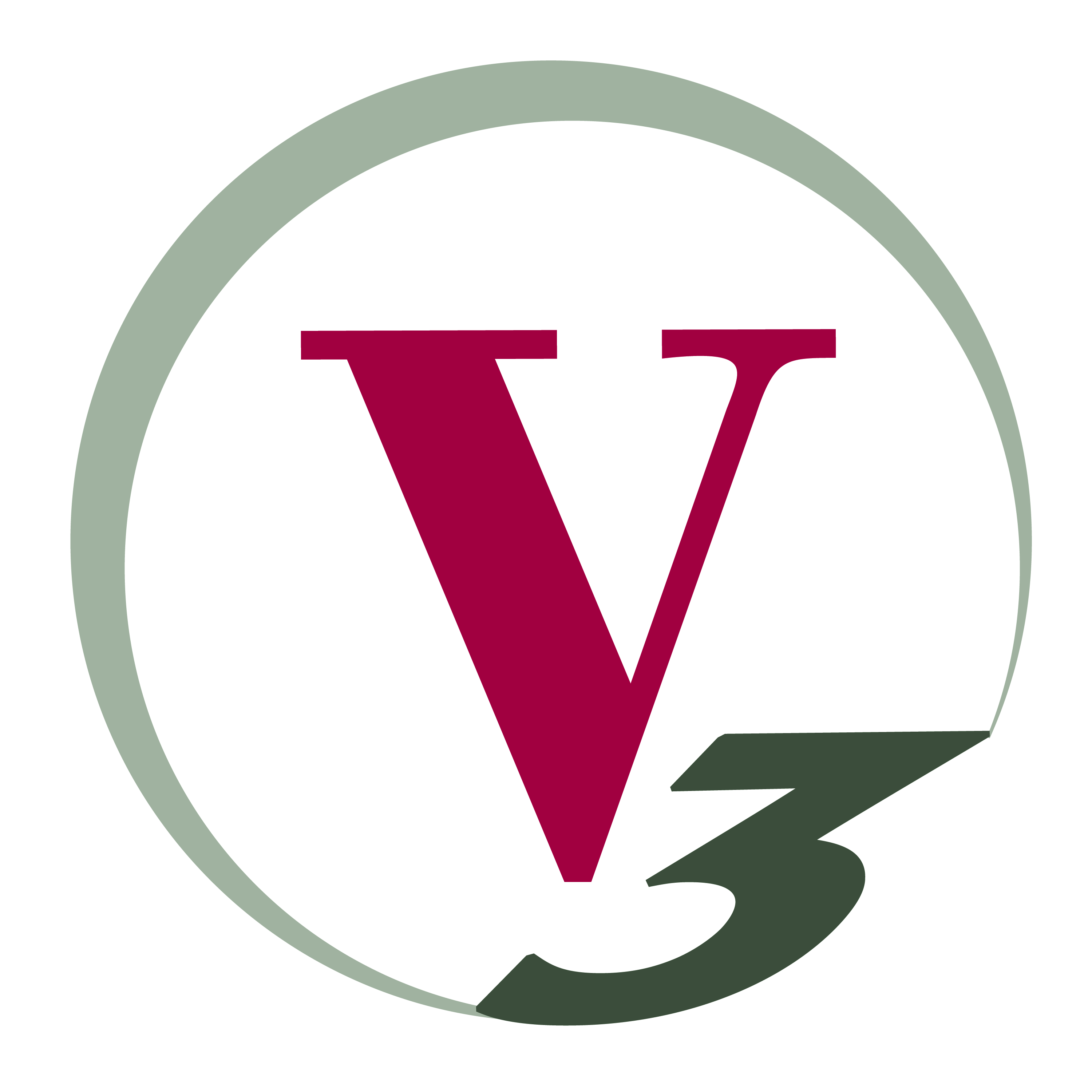V3 Companies
